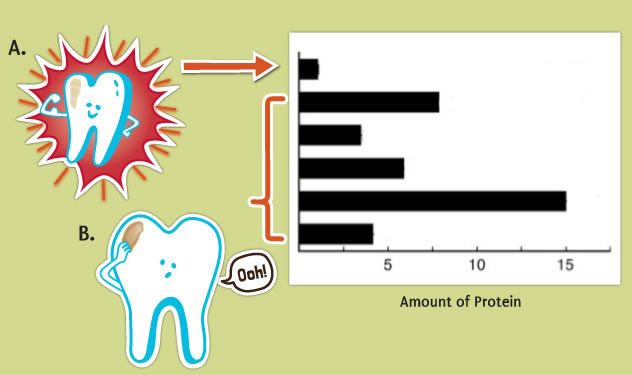 Polarised Light Microscopy Polarised Light Microscopy
