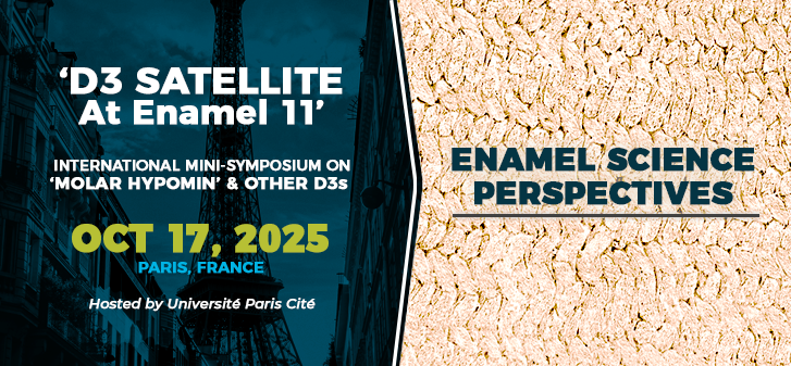 D3 Satellite E-11 Pic